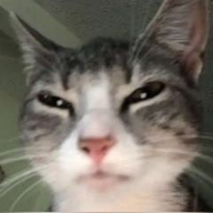 ownedzxc