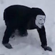 N1YmFin3