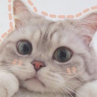 NEVERR1337