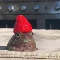 Mayotov