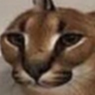 foxyan hvh