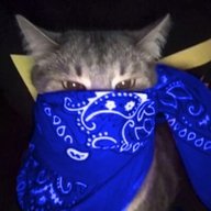 Koptko