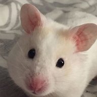 sеven