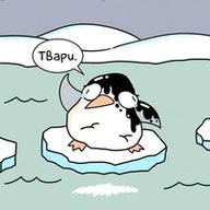 PenguinArctico