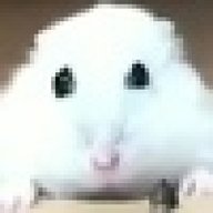 snbxt