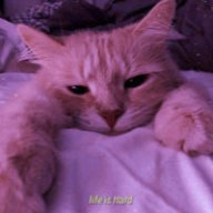 i_sanya1278_i