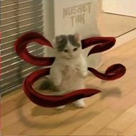 fasdsadasd