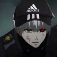Sh3lfyq