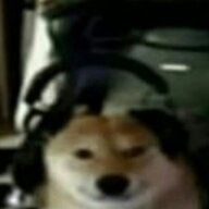 aBIBAs