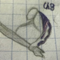ch3bur3kf