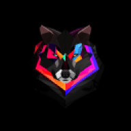dims_z1