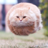 Fxy
