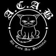 artste9