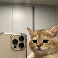 advokat