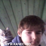 Danzer_Zone