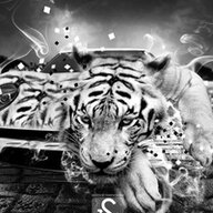 biba_boba156