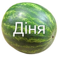 nochnisa
