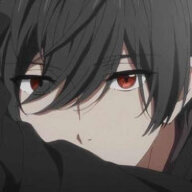 niight