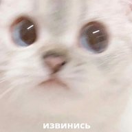 sn1Le