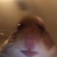 gfgfgfg