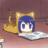 foxsur12