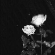 grace