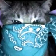 greeo