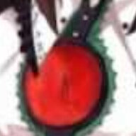 rogatca