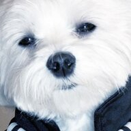 RIKIZQ