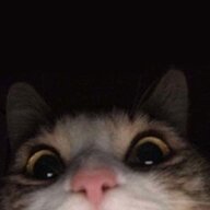 gomodril;