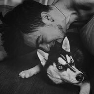 gfoxstail