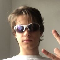qa_dir
