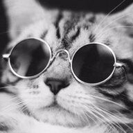 gluacat