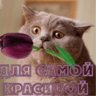 cGG
