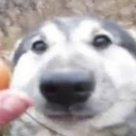 kreynuwu