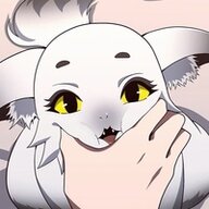 Volomin