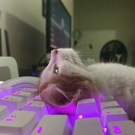 fsfsfgdgssdf