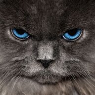 Darku