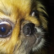 makss_pepe