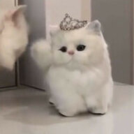 mariaaqa1