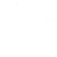 derevonahui \krip