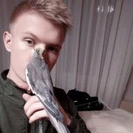Venges