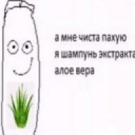 n1p0k
