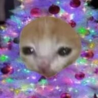 cslol1eMONESY