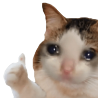 veto
