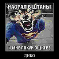 bebridj