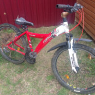 Daiser2422