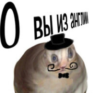 dfdg