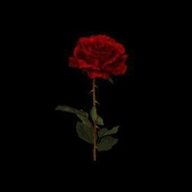 Panic_love