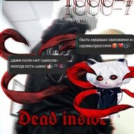 em0k1d2007